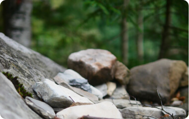 blog
