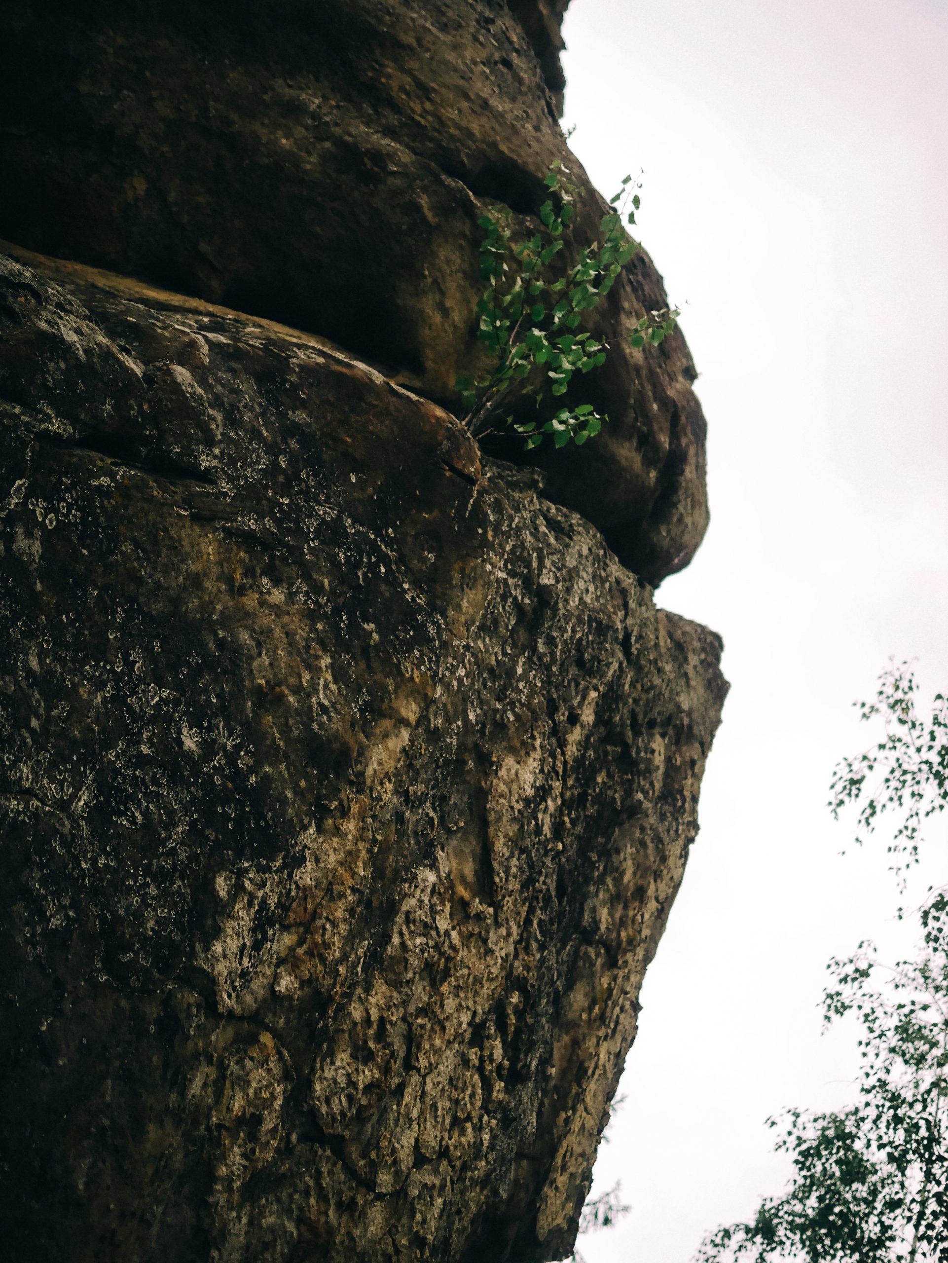 Терношорські скелі